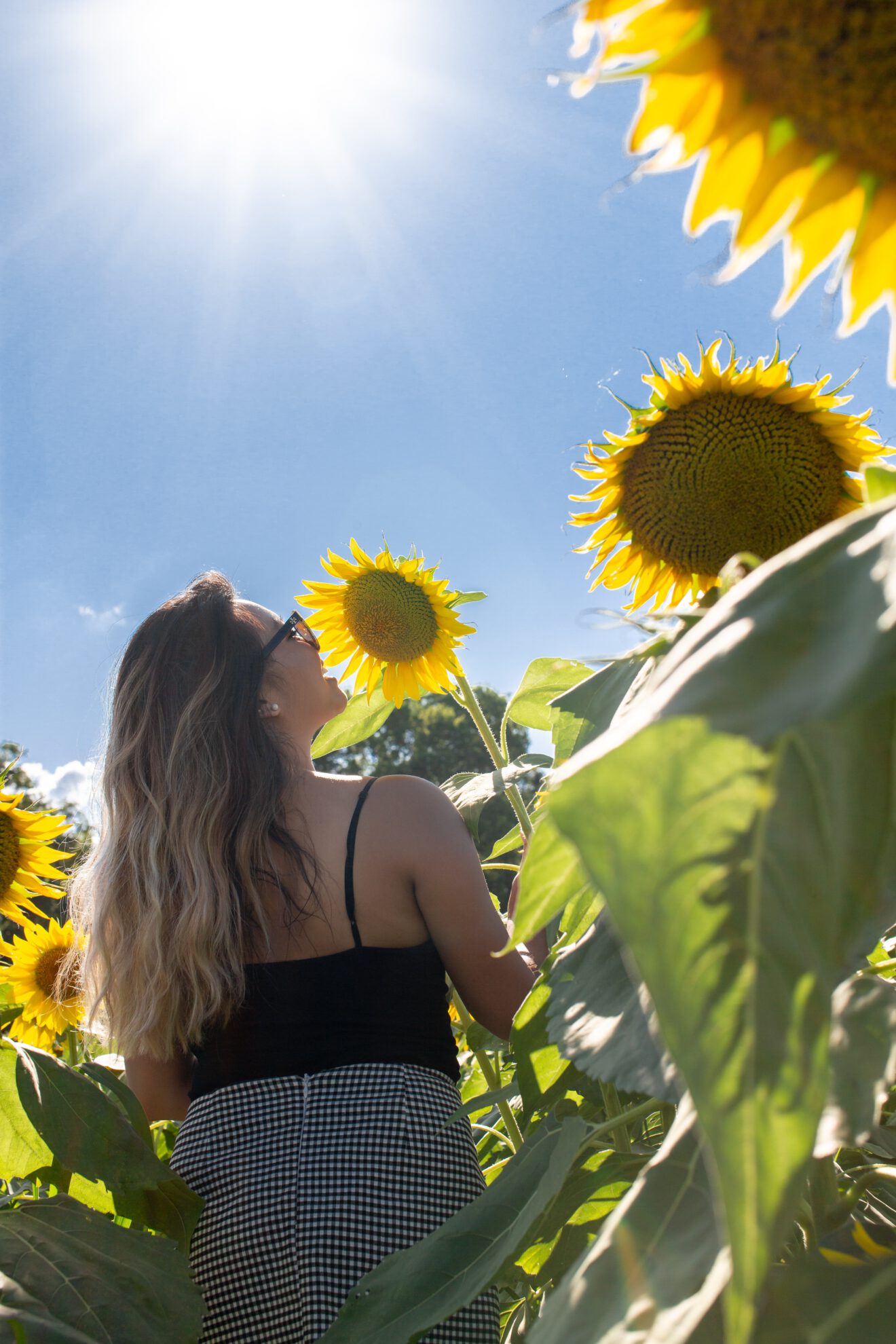 13. Sonnenblumenfrau